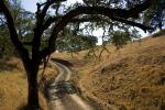 Dirt Road, Sonoma County, unpaved, VCRD02_191