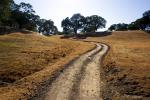 Dirt Road, Sonoma County, unpaved, VCRD02_192