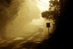 Early Morning Fog, VCRD02_219