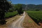 Dirt Road, Alaxander Valley, Sonoma County, unpaved, VCRD03_128