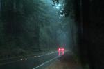 Sir Francis Drake Boulevard, rain, rainy, Marin County, California, VCRD03_233
