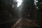 Sir Francis Drake Boulevard, rain, rainy, Marin County, California, VCRD03_234