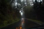 Sir Francis Drake Boulevard, rain, rainy, Marin County, California, VCRD03_235