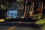 Pacific Coast Highway, PCH, car, Marin County California, VCRD04_112