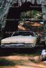 Drive-Through Tree, 1970 Ford Mercury Marquis, April 5 1970, VCRV01P02_09B.0564