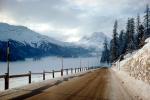 Dirt Road in the Snow, winter, lake, trees, Muren Switzerland