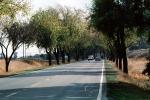 Highway, Roadway, Tree lined road
