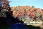 Highway, Roadway, Road, Fall Colors, Autumn, Deciduous Trees, Woodland, Forest, VCRV05P01_19