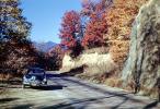 1949 Buick Roadmaster, Autumn, Deciduous Trees, Woodland, 1940s, VCRV05P02_03