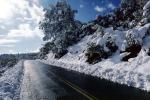 Highway, Roadway, Road, Mariposa County, VCRV05P07_01