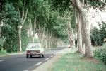 Tree Lined Road, Street, Highway, Valmy, Roadway, Road, VCRV07P06_19