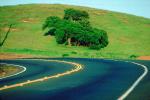 Sonoma County, Highway, Roadway, Road curve
