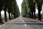 Tree lined Road, Teplice, VCRV08P01_13