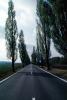 Tree lined Road, Teplice, VCRV08P01_14