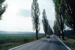 Tree lined Road, Teplice