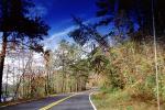 Trees, Road, Roadway, Highway-28, North Carolina, autumn