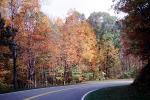 Road, Roadway, Highway-28, North Carolina, autumn, VCRV09P08_17