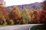 Road, Roadway, Highway-28, North Carolina, autumn