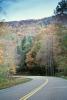 Trees, forest, woodland, Road, Roadway, Highway-28, North Carolina, VCRV09P09_02