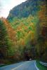 Autumn, Fall Colors, trees, woodland, forest, Road, Roadway, Highway-28, North Carolina