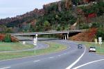 Cars, overpass, Road, Roadway, Highway 19, North Carolina, VCRV09P09_10