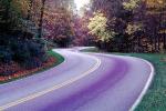 Road, Roadway, Highway 321, North Carolina, autumn, VCRV09P10_07