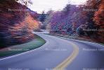 Road, Roadway, Highway 321, North Carolina, autumn