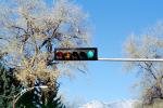 Traffic Signal Light, Road, Roadway, Highway