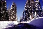 snow, arrow, direction, directional, Ice, Cold, Frozen, Icy, Winter, Tree Lined Road, Highway, VCRV10P07_01