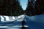 Snowy Road, Roadway, Highway 62, VCRV10P07_10