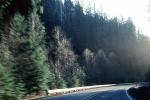 curve, trees, Road, Roadway, Highway 138