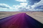 Road, Roadway, Highway 128, near Moab, Utah, VCRV10P11_13