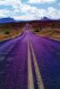 Road, Roadway, Highway 128, near Moab, Utah, Castle Valley, east of Moab, VCRV10P11_19