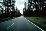 Road, Roadway, Highway-67, Grand Canyon National Park, North Side, Vanishing Point, trees, dashed line