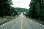 Road, Roadway, Highway-67, Grand Canyon National Park, North Side, Vanishing Point, trees, dashed line, VCRV11P01_16