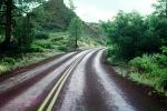 Zion National Park, Road, Roadway, Highway-9