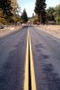 vanishing point, double yellow stripe, forest, woodland, Road, Roadway, Highway, Janesville, California