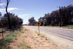 camel crossing, Road, Roadway, Highway, VCRV11P10_05