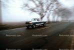 Tree Lined Road, Highway, Pickup Truck, VCRV12P04_03.0567