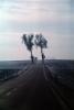 Tree Lined Road, Roadway, Highway, VCRV13P11_07B