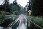 Road, Roadway, Bohemian Highway, Sonoma County, California, VCRV13P14_18