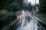 Road, Roadway, Bohemian Highway, Sonoma County, California, VCRV13P15_01