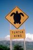 Turtle Crossing, Xing, Maui, Caution, warning, VCRV14P03_15