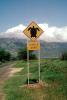 Turtle Crossing, Xing, Maui, Caution, warning, VCRV14P03_16