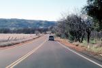 Road, Roadway, Highway, car, trees, VCRV14P08_10