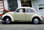 VW-Bug, Volkswagen-Bug, Volkswagen-Beetle, automobile, VCRV15P05_03
