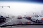 Foggy driving conditions, car, sedan, automobile, vehicles, Traffic Light