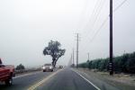 Ventura County, Road, Roadway, Highway, VCRV16P15_18