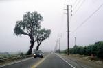 Ventura County, Road, Roadway, Highway