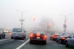 Traffic Signal Light, fog, cars, automobiles, vehicles, Stop Light